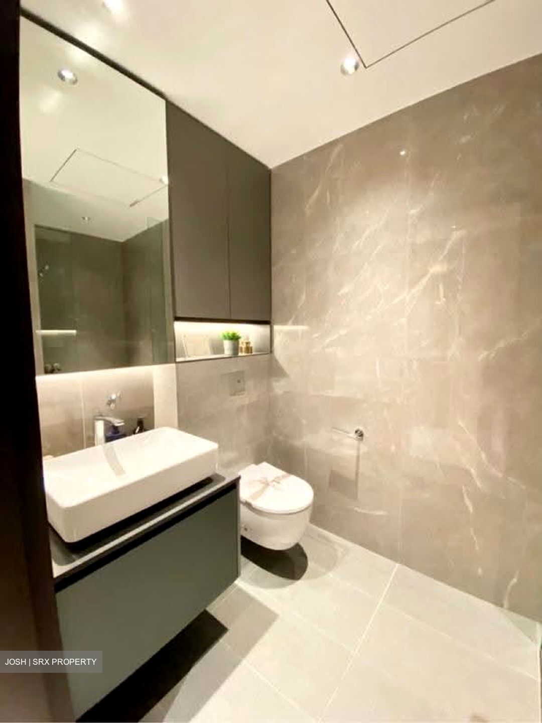 Irwell Hill Residences (D9), Apartment #628870291